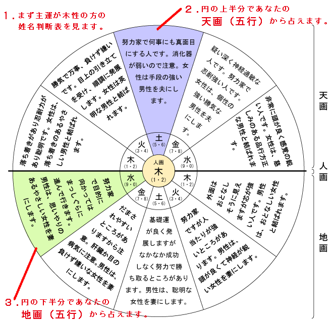 主運が木性の方の姓名判断 天画 人画 地画