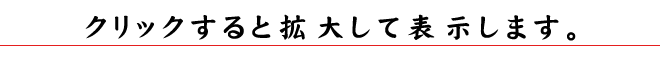 拡大してご覧いただけます